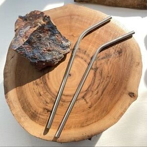 $5 DEAL Reusable Metal Straws Set of 2 Curved Recycle NWOT